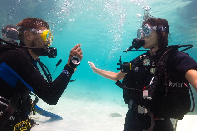 La Bombona Diving Koh Tao Open Water Course - PADI Open Water on Koh Tao: why this course format works