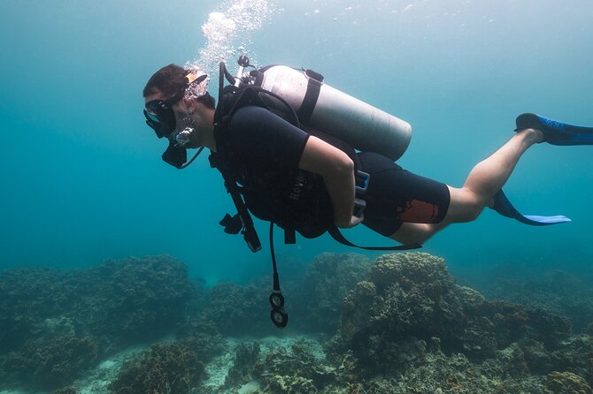 La Bombona Diving Koh Tao Try Dive - Descending to 12 Meters: Seeing Coral and Tropical Fish