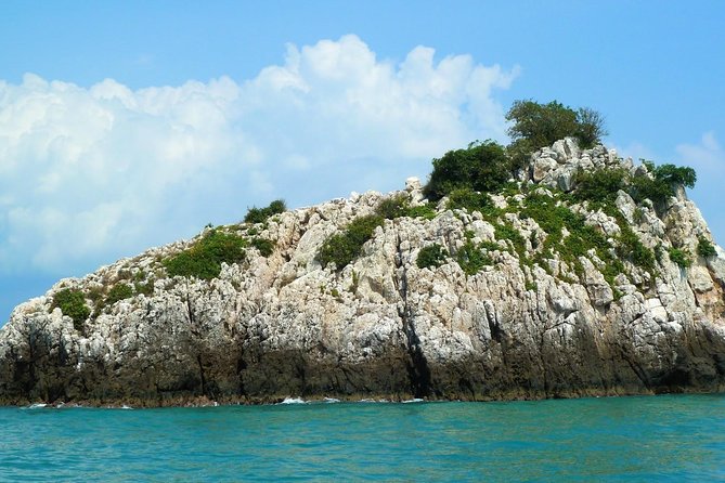 Mr. Tu Fishing Day Trip by Escort Boat from Koh Samui - Swim and Snorkel Time: The Best Backup Plan When Fishing’s Slow