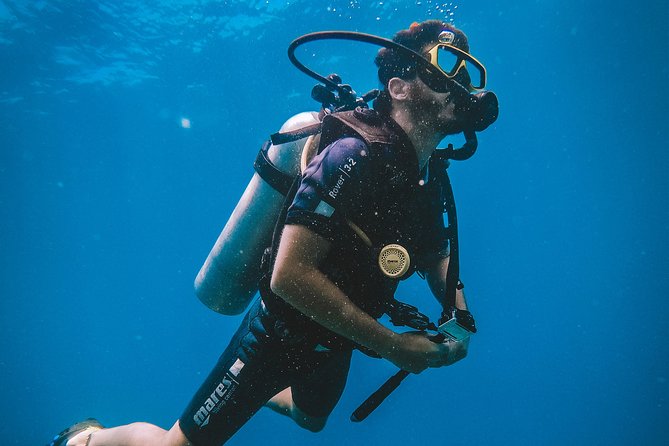 Open Water Course - The training rhythm: theory first, then controlled water practice