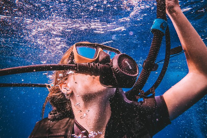Open Water Course - Price and value: $376 for a full certification track