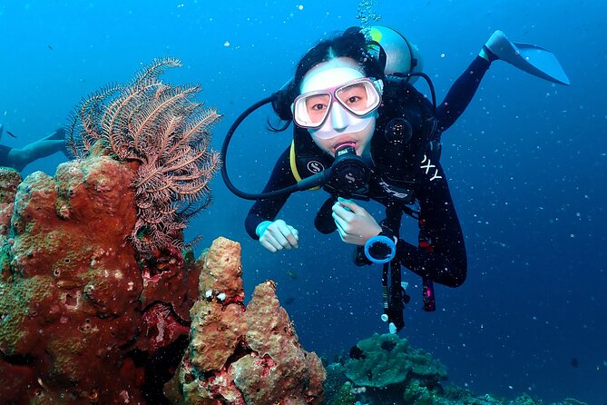 Open Water Course - Become certified diver in 3 days - Why this is a strong 3-day option in Koh Tao