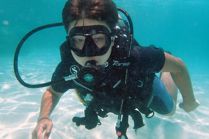 PADI Discover Scuba Diving in Koh Tao - half day and two dives - Where You Meet Scuba Birds and What Happens First