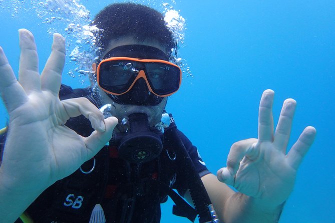 PADI Discover Scuba Diving in Koh Tao - half day and two dives - Marine Life Expectations (What You’ll Actually Get to See)