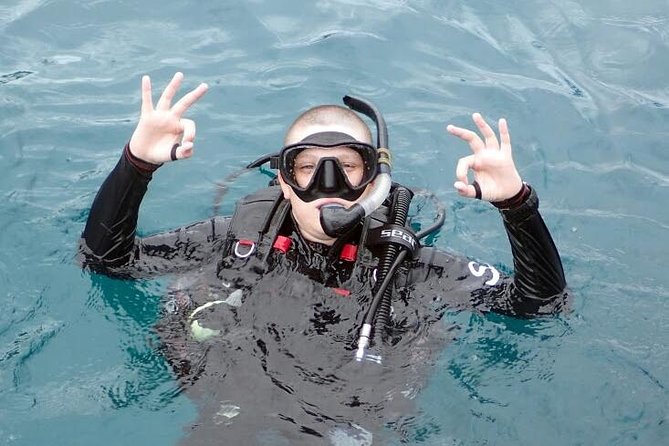 PADI Discover Scuba Diving in Koh Tao - half day and two dives - Photos, Video, and the One Decision You Should Make Early