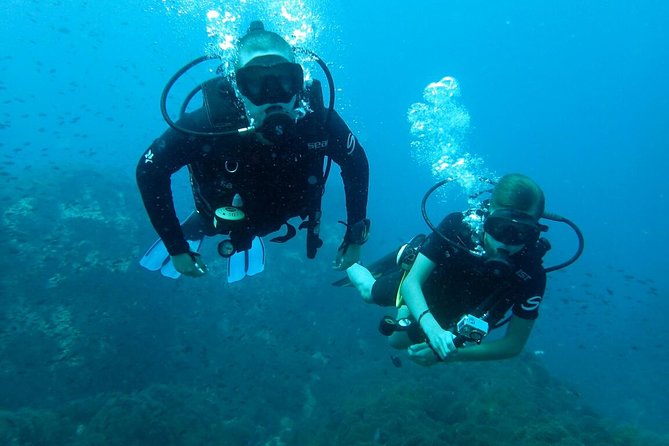 PADI Discover Scuba Diving in Koh Tao - half day and two dives - First Underwater Session at Japanese Garden or Mango Bay