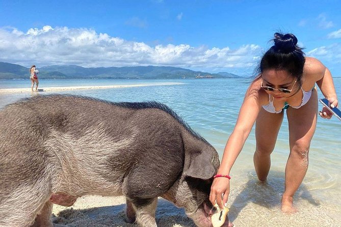 Pig Feeding, Kayaking, Snorkeling Trip at Pig Island By Speedboat From Koh Samui - Koh Madsum / Ko Mat Sum Break: Kayak, Swim, and Beach Time