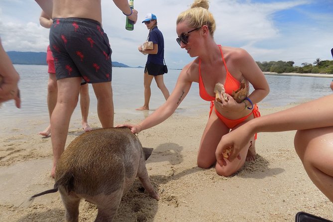 Pig Feeding, Kayaking, Snorkeling Trip at Pig Island By Speedboat From Koh Samui - The Food on the Water: Lunch/Dinner, Fruit, and Soft Drinks