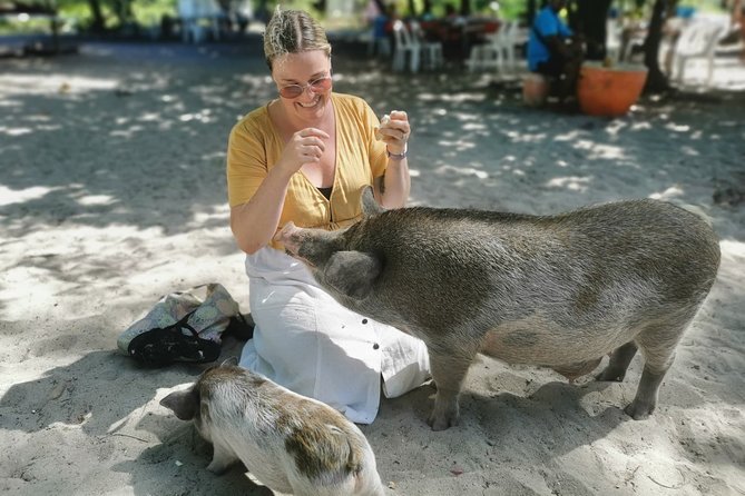 Pig Feeding, Kayaking, Snorkeling Trip at Pig Island By Speedboat From Koh Samui - Koh Tan Stop: A One-Hour Snorkel Break on the Way