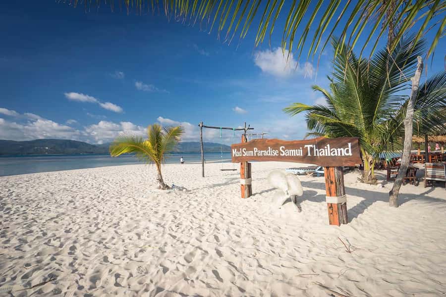 Pig Island(Koh Mudsum) and Koh Tan Half Day Snorkeling Tour - Pig Island (Koh Mudsum): how to enjoy the pigs without turning it into a circus