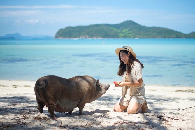 Pig Island (Koh Mudsum) and Koh Tan Tour with Meal from Koh Samui - Key Highlights