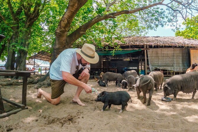 Pig Island (Koh Mudsum) and Koh Tan Tour with Meal from Koh Samui - Hotel Pickup in Koh Samui: What to Expect Before You Board