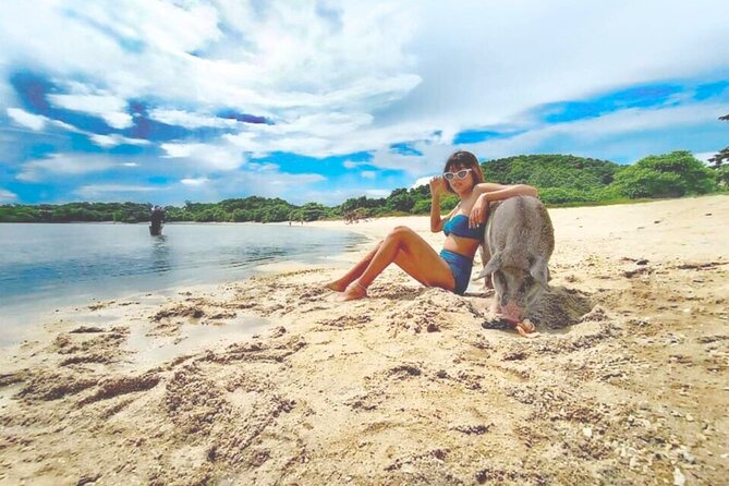 Pig Island (Koh Mudsum) and Koh Tan Tour with Meal from Koh Samui - The Meal Included: Lunch or Dinner, Plus Being Wet-Friendly