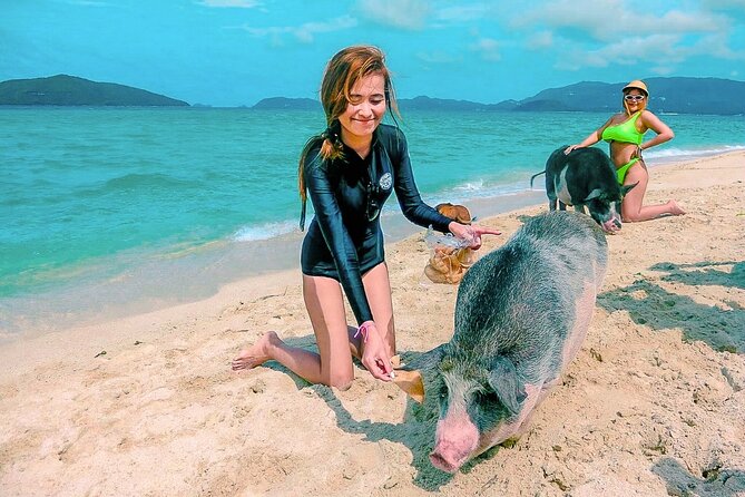 Pig Island (Koh Mudsum) and Koh Tan Tour with Meal from Koh Samui - What to Bring (So the Day Stays Fun Instead of Annoying)
