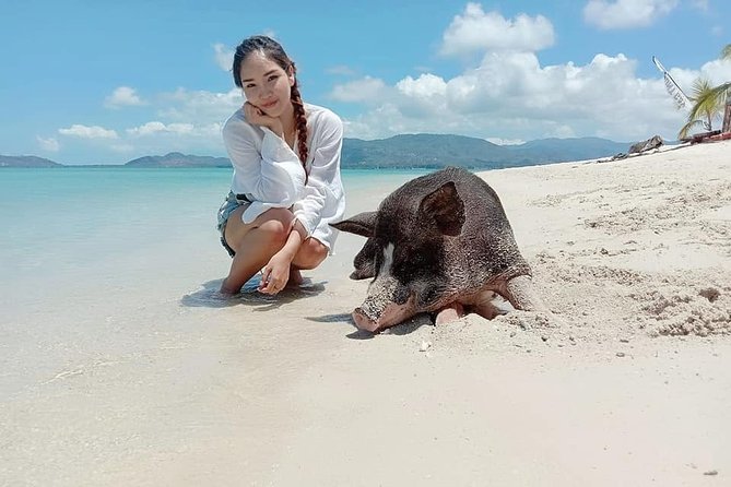 Pig Island Snorkeling & Sightseeing Tour By Speedboat From Koh Samui - The speedboat ride: short, fast, and can feel crowded