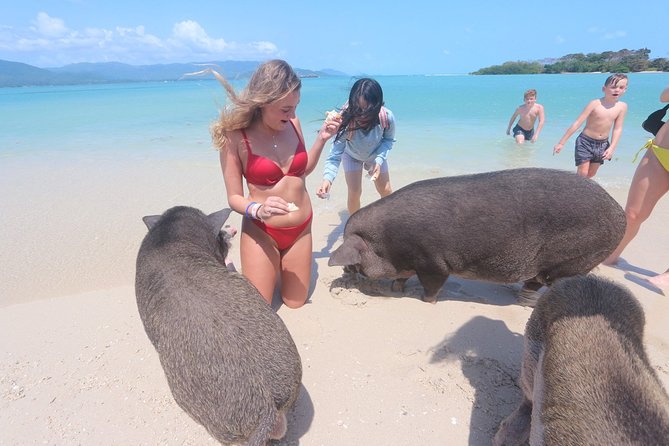 Pig Island Snorkeling & Sightseeing Tour By Speedboat From Koh Samui - Koh Taen snorkeling stop: how the reef time plays out