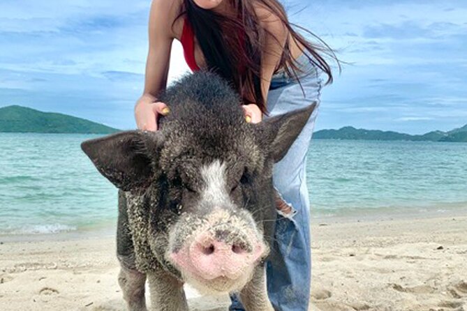 Pig Island Tour by Speedboat with Snorkeling - Pig Island Tour basics: what kind of day this is