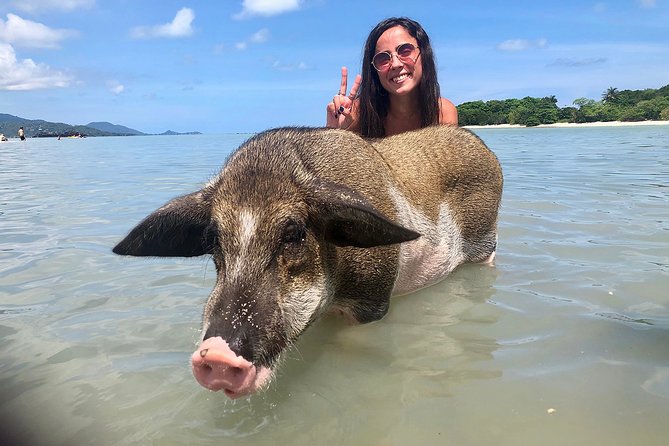 Pigs Island exclusive Semi VIP - A Semi VIP Speed Boat That Keeps the Day Smoother