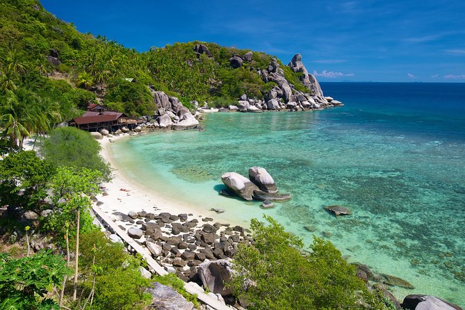 Premium Snorkel Tour to the Bays of Koh Tao onboard the Oxygen - Lunch on the Move: Sandwiches, Panna Cotta, and Reef Energy