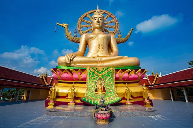 Private Customized Tour with Driver in Koh Samui - Pick Your Time: The 4–8 Hour Plan Without the Rush