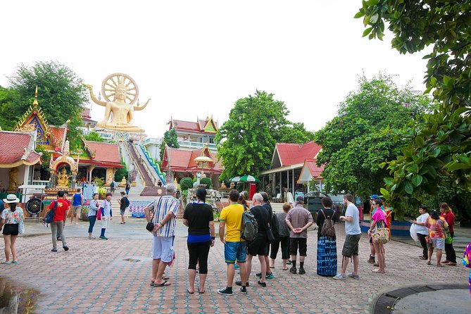 Private Group City Tour Around Koh Samui - How “private” works here: freedom, but know the tradeoffs