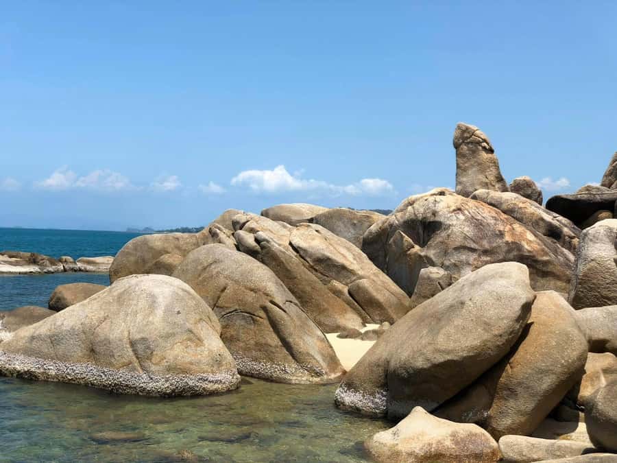 Private Group Half-Day City Tour Around Koh Samui - The real deal: what this tour feels like on Samui