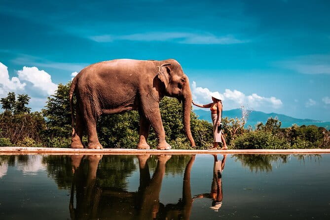 Private Photoshoot in Koh Samui for Couples & Families - Your 1-Hour Plan: What Happens From Pickup to Drop-Off
