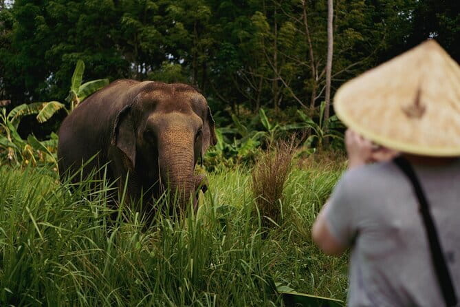 Samui Elephant Kingdom Ethical Sanctuary and Skywalk Tour - Mahouts and Trust: Why This Lesson Stays With You