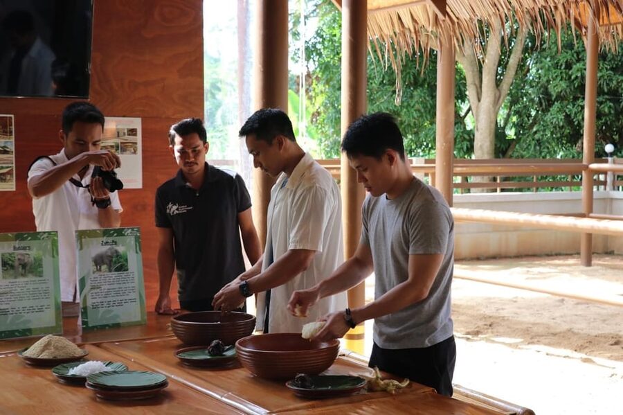 Samui: Elephant Nutrition and Care Education Experience - Who This Tour Fits Best (And Who Might Feel Disappointed)