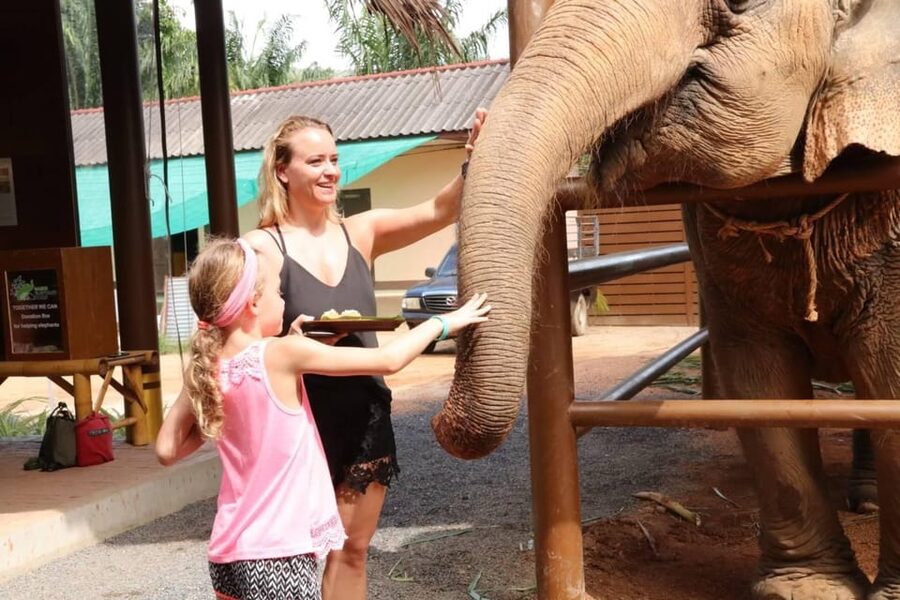 Samui: Elephant Nutrition and Care Education Experience - Meet the Elephants: Individual Stories, Mahouts, and Calm Behavior