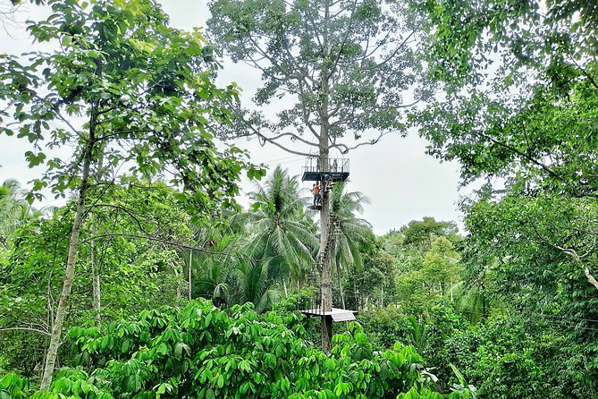 Samui Zipline Explore and Connect with Nature - Key things to know before you go