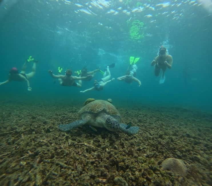 Snorkeling Tour with meals and BBQs - Cocktail - Sunset⭐⭐⭐⭐⭐ - The 7-hour rhythm: pickup, snorkeling time, and a sunset finish