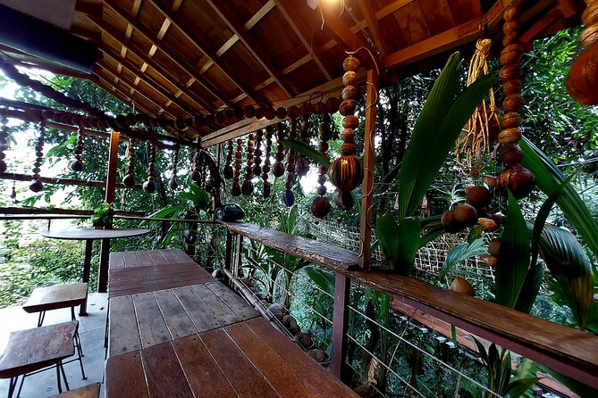 Tree Bridge Cafe And Zipline - Jungle Flight Adventure in Koh Samui - Price and value: what $55.77 really buys you here