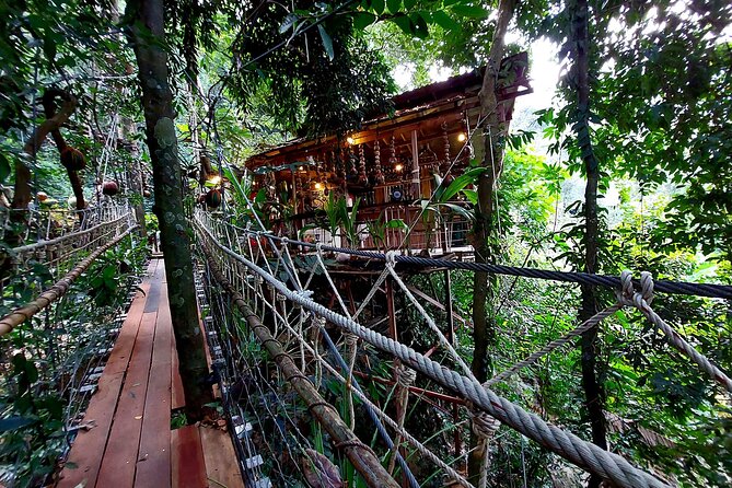 Tree Bridge Cafe And Zipline - Jungle Flight Adventure in Koh Samui - Who should book Tree Bridge Zipline (and who should skip it)