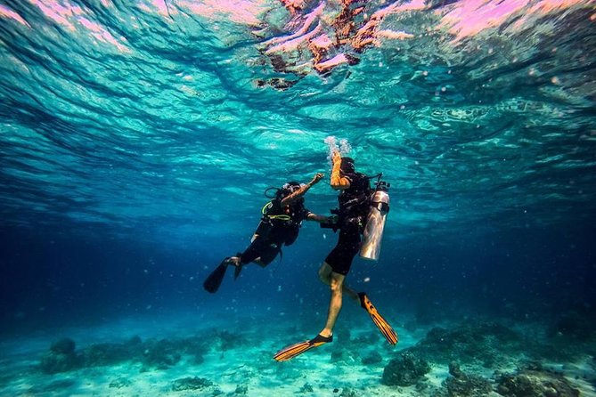 Try Scuba Diving - Your first underwater session: what it feels like and what you might see