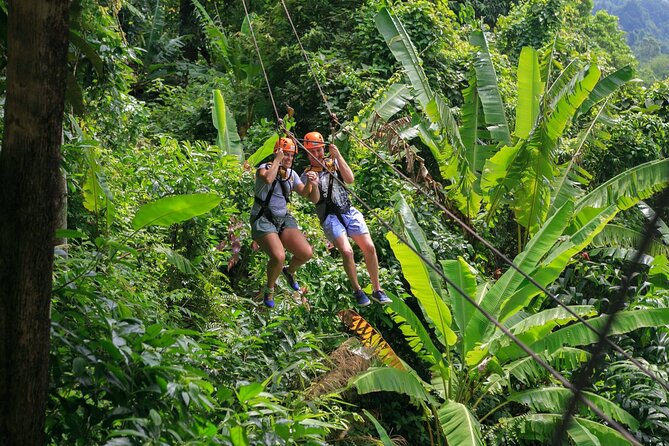 Zipline & Coffee with Waterfall Views in Koh Samui - Zipline and Secret Falls views: why this works in Koh Samui
