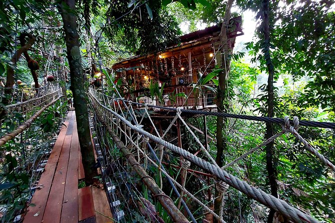 Zipline & Coffee with Waterfall Views in Koh Samui - Gear up at the base camp: what’s included before you fly