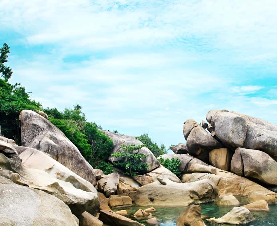 Zipline in Koh Samui Adventure activity tour - Key Things to Know Before You Book