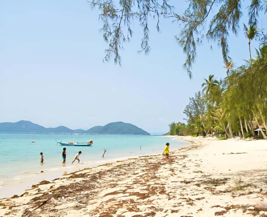 Zipline in Koh Samui Adventure activity tour - Why This Koh Samui Zipline Feels Like a One-Day Win