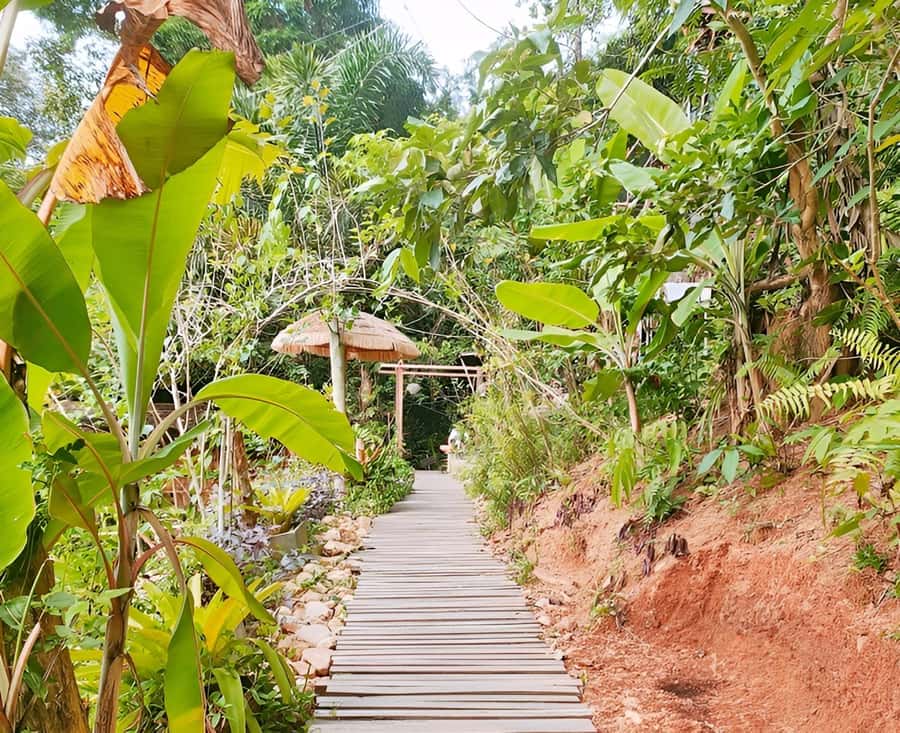 Zipline in Koh Samui Adventure activity tour - Should You Book This Koh Samui Zipline and Waterfall Day?