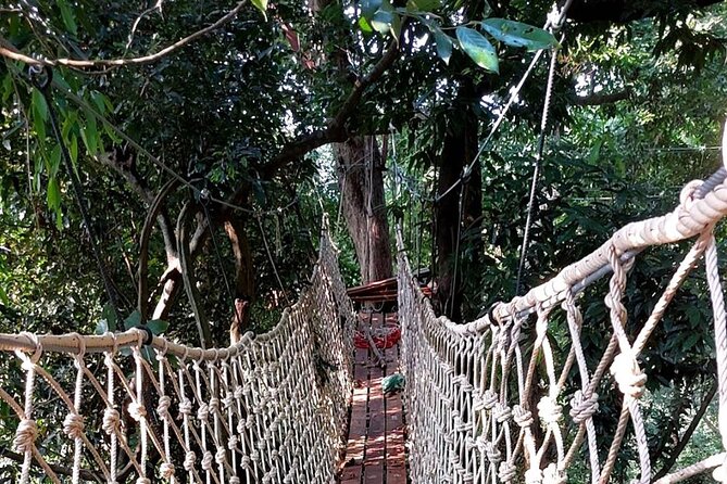 Zipline Ride on Koh Samui - The 11-platform route: how beginners get confident (and thrill-seekers stay happy)
