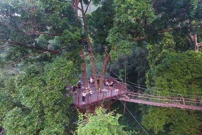 Zipline Ride on Koh Samui - Views, photos, and the practical ways to enjoy the ride more
