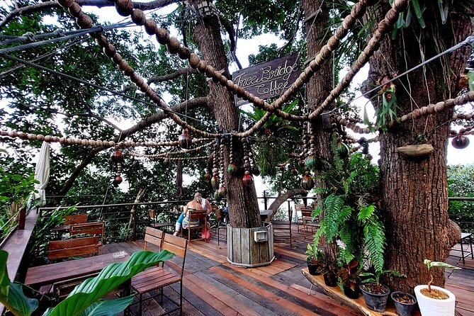 Zipline Ride on Koh Samui - Who this Koh Samui zipline fits best (and who should skip it)